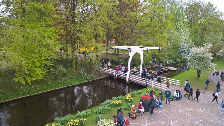 From Amsterdam: Keukenhof and Zaanse Schans Small Group Tour - A practical day-by-day outline