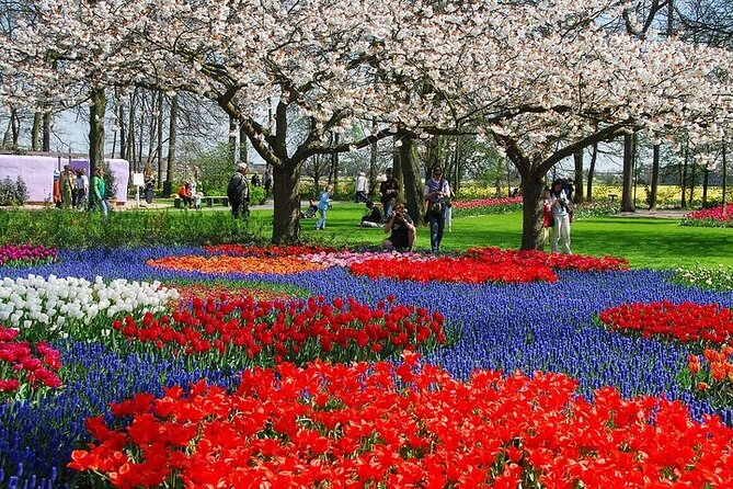 From Amsterdam: Keukenhof Gardens Ticket and Transfer - Getting from Amsterdam Central Station to Lisse