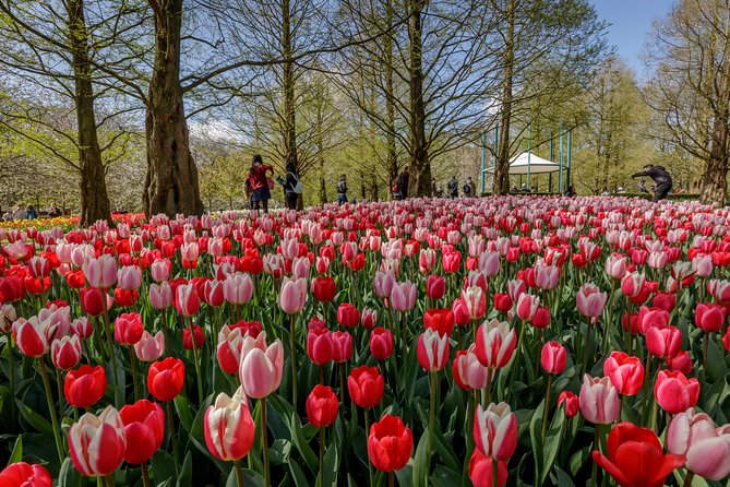 From Amsterdam: Keukenhof Gardens Ticket and Transfer - What three hours really means