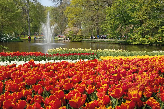 From Amsterdam: Keukenhof Gardens Ticket and Transfer - Who will enjoy this experience most?
