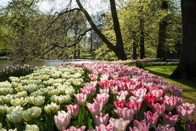 From Amsterdam: Keukenhof Gardens Ticket and Transfer - Practical tips for a smoother day
