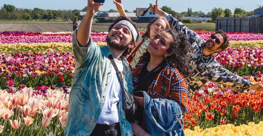From Amsterdam: Keukenhof Gardens & Tulip Experience Tour - Key points at a glance
