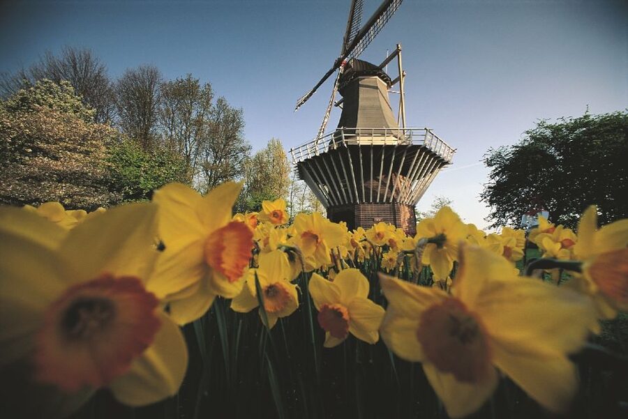 From Amsterdam: Keukenhof Gardens & Tulip Experience Tour - How much time do you really need?