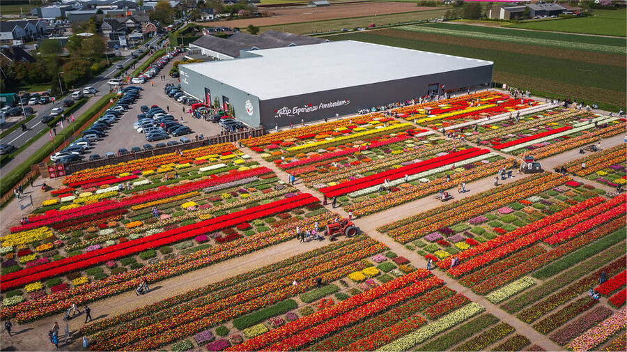 From Amsterdam: Keukenhof Gardens & Tulip Experience Tour - Is $94 a good value?