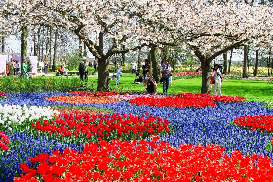 From Amsterdam: Keukenhof Ticket with Transfer - How much time do you get inside?