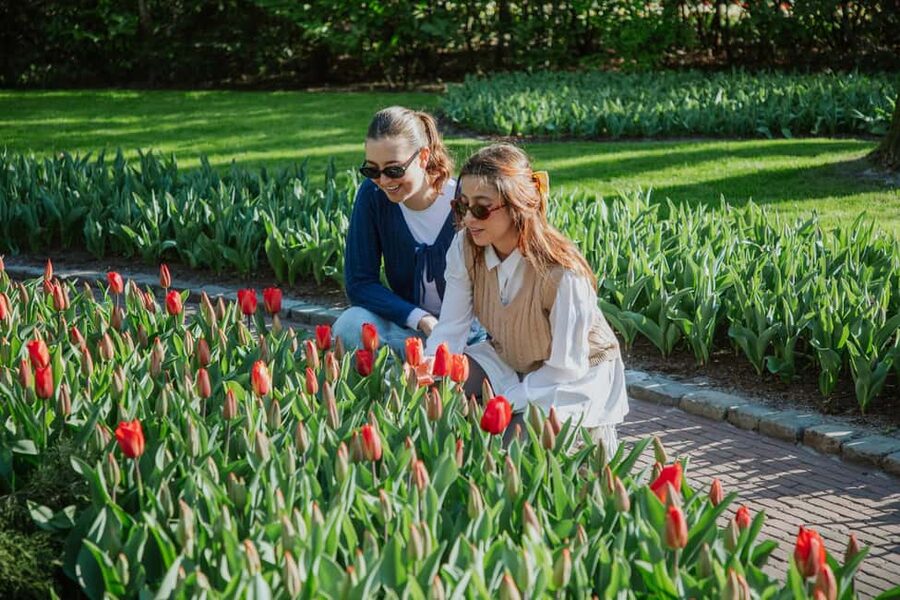 From Amsterdam: Keukenhof Ticket with Transfer - Is $41 good value?