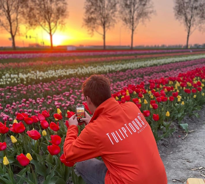 From Amsterdam: The Early Flower Tour, full day with Lunch - Why an early flower tour can be better than peak tulip season