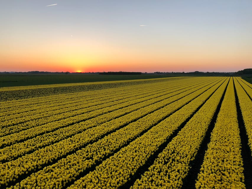 From Amsterdam: The Early Flower Tour, full day with Lunch - Seeing more than tulips in the first weeks of spring