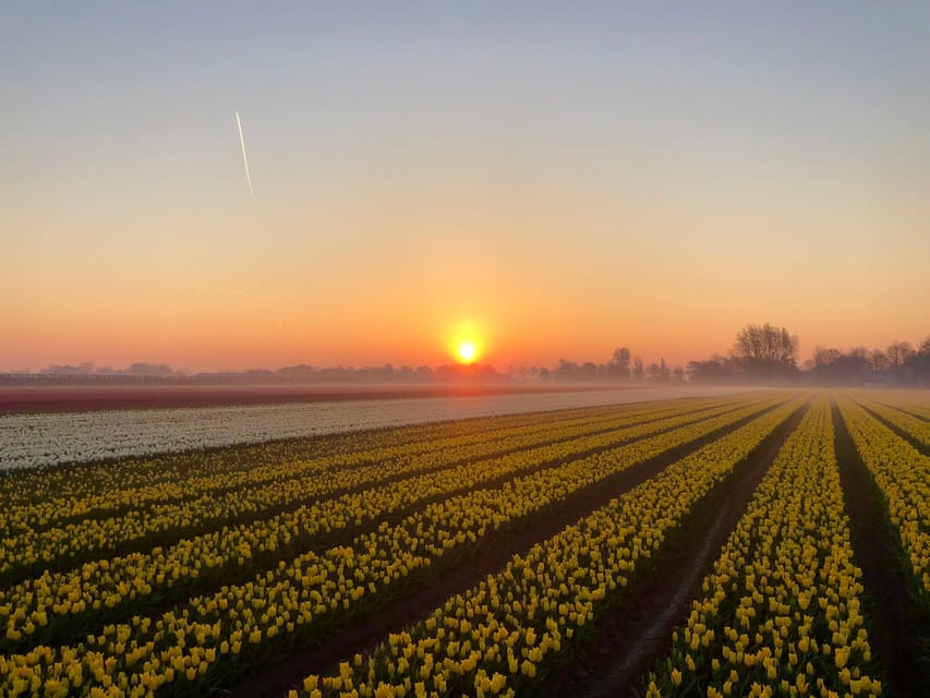 From Amsterdam: The Early Flower Tour, full day with Lunch - Is $111 a good value?