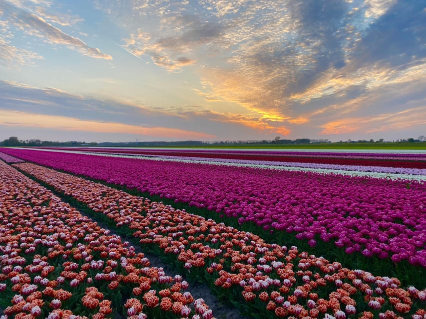 From Amsterdam: The Early Flower Tour, full day with Lunch - Lunch in the old village of Onderdijk