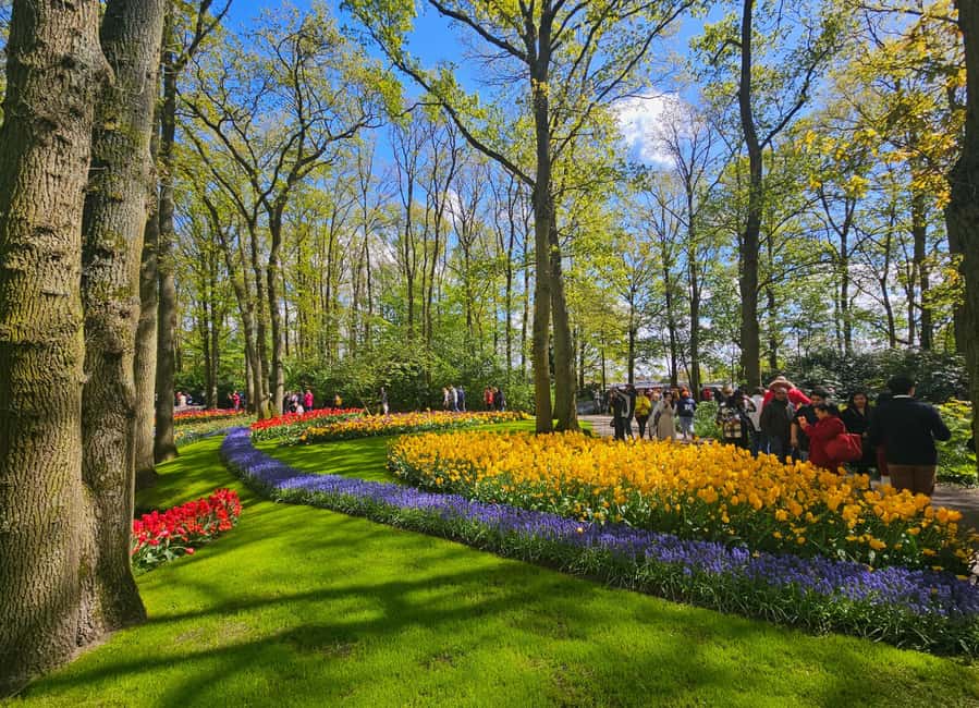 From Amsterdam: Tulip Tour Keukenhof & City Tour Delft - Delft’s Market Square And Medieval Center