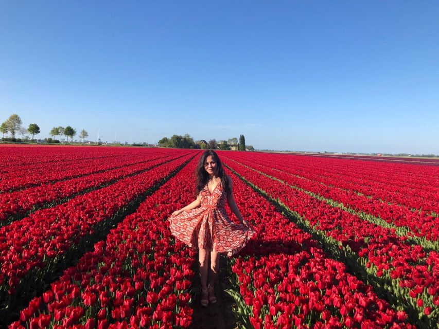 From Amsterdam: Tulip Tour Keukenhof & City Tour Delft - Price And What The $169 Covers