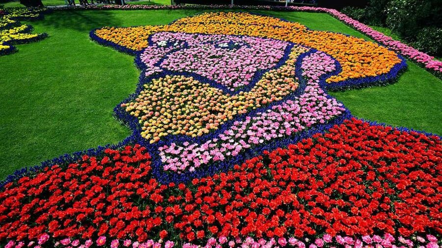 From Amsterdam: VIP Keukenhof Tulip Tour with Private Driver - Why a private Keukenhof visit can be worth it