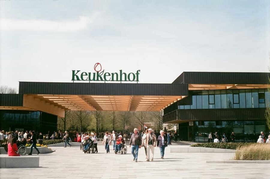 From Amsterdam: VIP Keukenhof Tulip Tour with Private Driver - Four hours among Keukenhof’s tulips