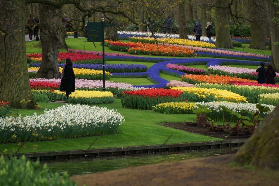 From Amsterdam: VIP Keukenhof Tulip Tour with Private Driver - What the $765 group price really buys