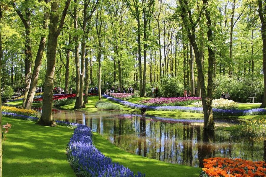 From Amsterdam: VIP Keukenhof Tulip Tour with Private Driver - The return to Amsterdam without a fixed group departure