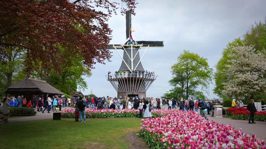 From Amsterdam: VIP Keukenhof Tulip Tour with Private Driver - Leaving Amsterdam in a chauffeur-driven car
