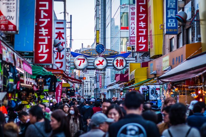 From Asakusa: Old Tokyo, Temples, Gardens and Pop Culture - Price, transport, and the practical value