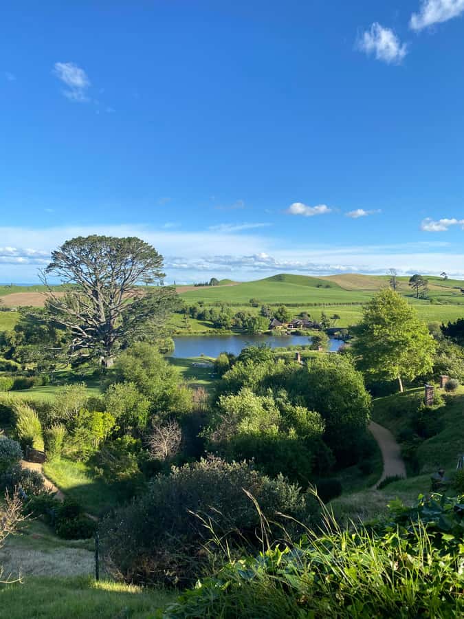 From Auckland: Hobbiton & Hamilton Gardens Small Group Tour - Who should book this tour?