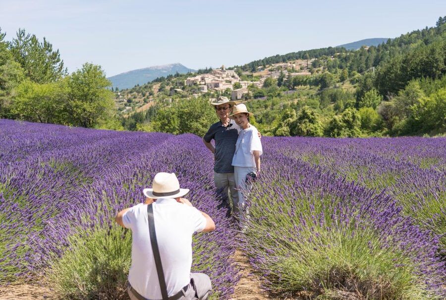 From Avignon: Half-Day Lavender Tour of Luberon - Key points before you book