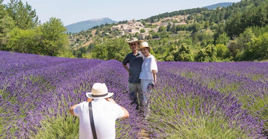 From Avignon: Half-Day Lavender Tour of Luberon - Why this half-day route works from Avignon