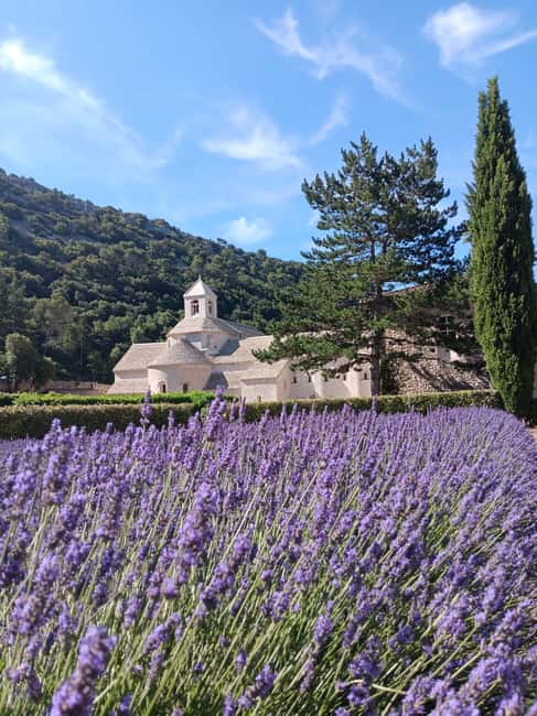 From Avignon: Half-Day Lavender Tour of Luberon - What $106 buys you