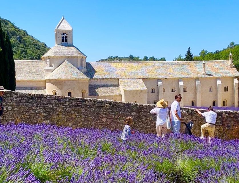From Avignon: Lavender fields and villages in the Luberon - The Plateau des Claparèdes and Mont Ventoux