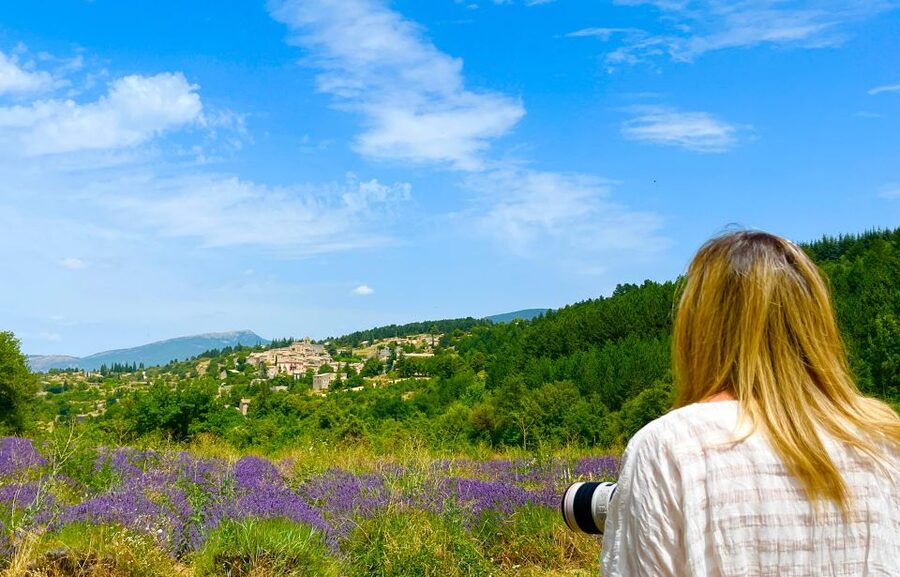 From Avignon: Lavender Tour around Valensole or Sault - How the $124 price measures up
