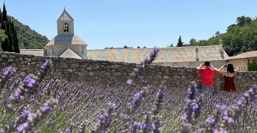 From Avignon: Lavender Tour around Valensole or Sault - Who should book this lavender day?