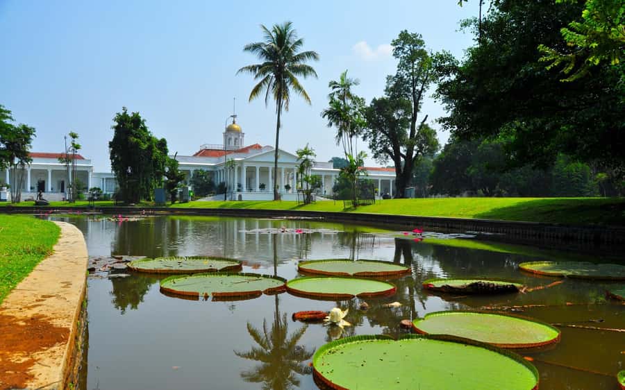 From Bandung: Tea Plantation and Botanical Garden Tour - Why this route works as a transfer day