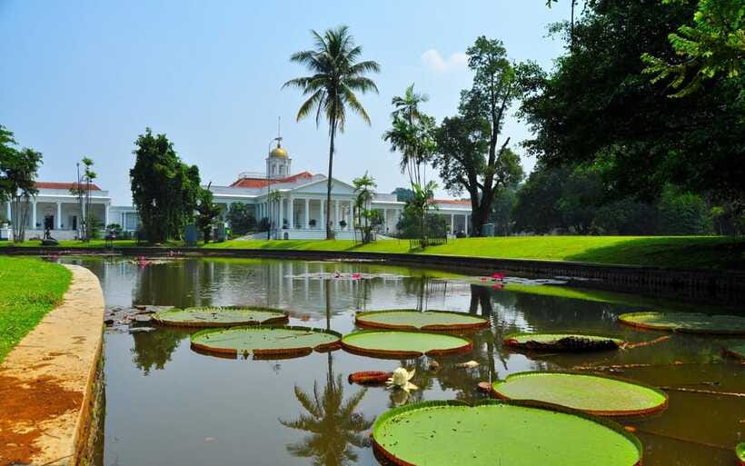 From Bandung: Tea Plantation and Botanical Garden Tour - Seeing tea become a finished product