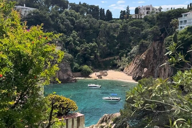 From Barcelona: Wine Tasting & Tapas + MARIMURTRA Garden + Blanes - Three hours to explore Blanes at your own pace