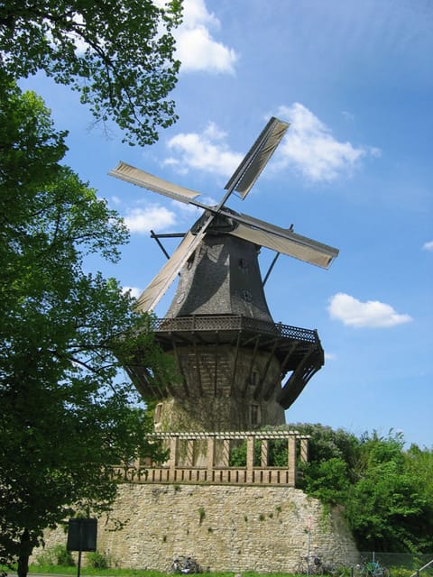 From Berlin: Gardens & Palaces of Potsdam Bike Tour - Sanssouci and the Hohenzollern world