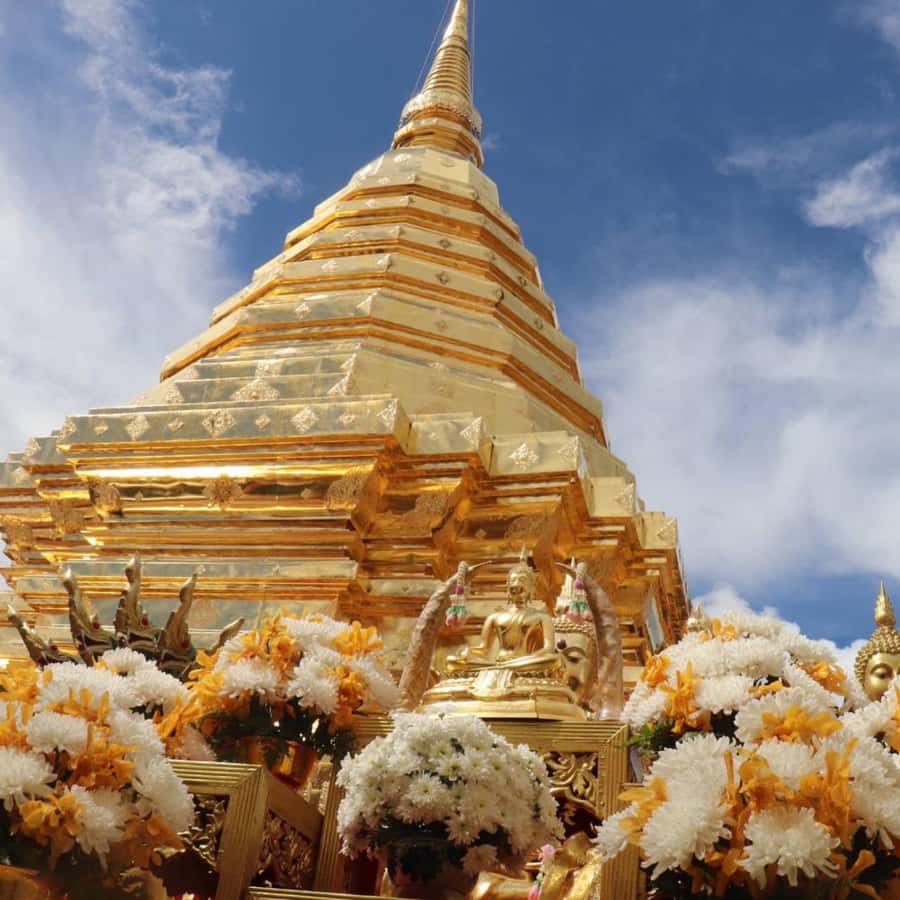 From Chiang Mai: Temples, Sticky Waterfall, and Orchid Farm - Four details that shape the day