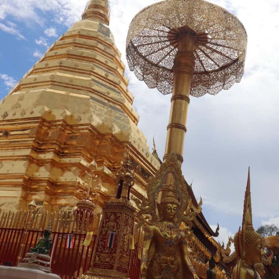From Chiang Mai: Temples, Sticky Waterfall, and Orchid Farm - FAQ