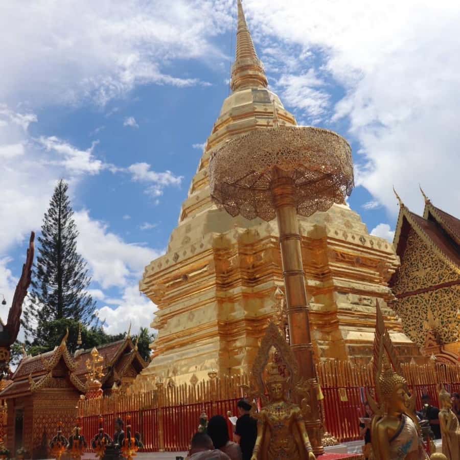 From Chiang Mai: Temples, Sticky Waterfall, and Orchid Farm - A good first look at Chiang Mai beyond the old city