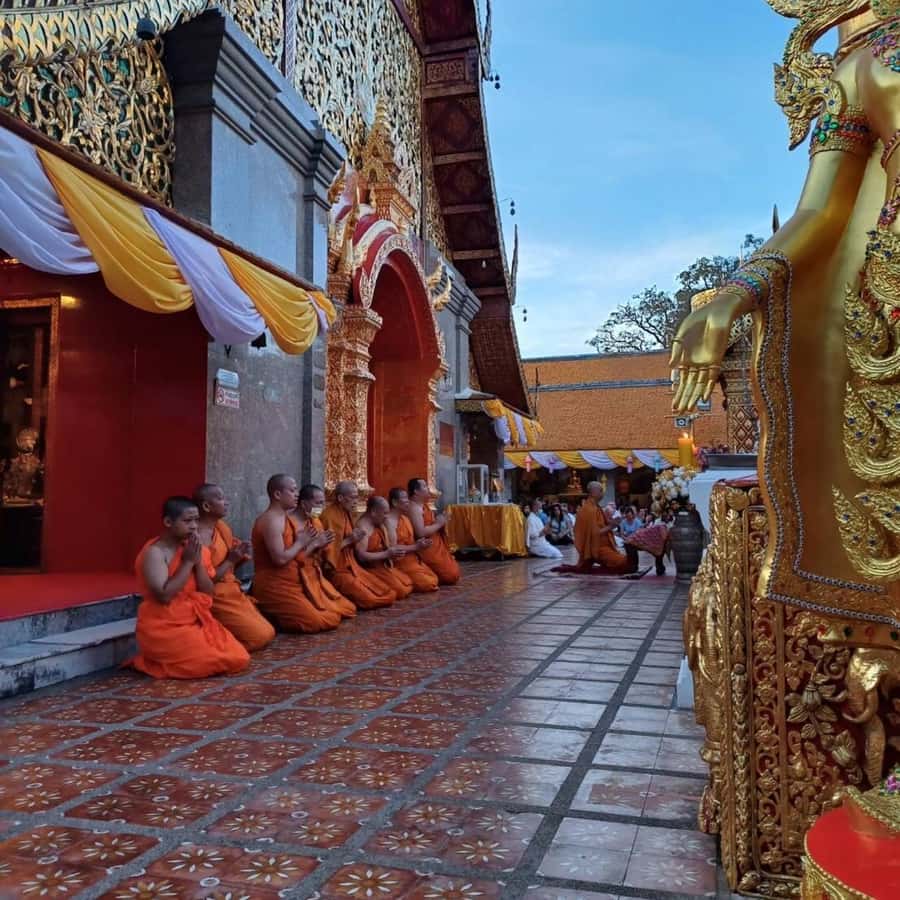 From Chiang Mai: Temples, Sticky Waterfall, and Orchid Farm - Orchid and butterfly farm: a change of rhythm