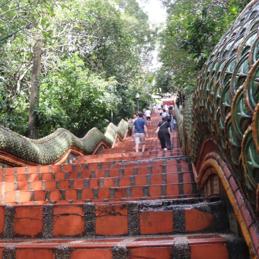 From Chiang Mai: Temples, Sticky Waterfall, and Orchid Farm - Bua Tong Sticky Waterfall: the day’s hands-on finish