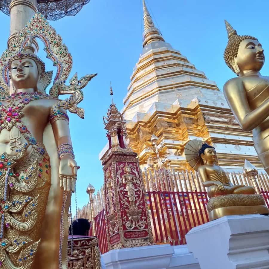 From Chiang Mai: Temples, Sticky Waterfall, and Orchid Farm - Transport, timing, and the real value of $80