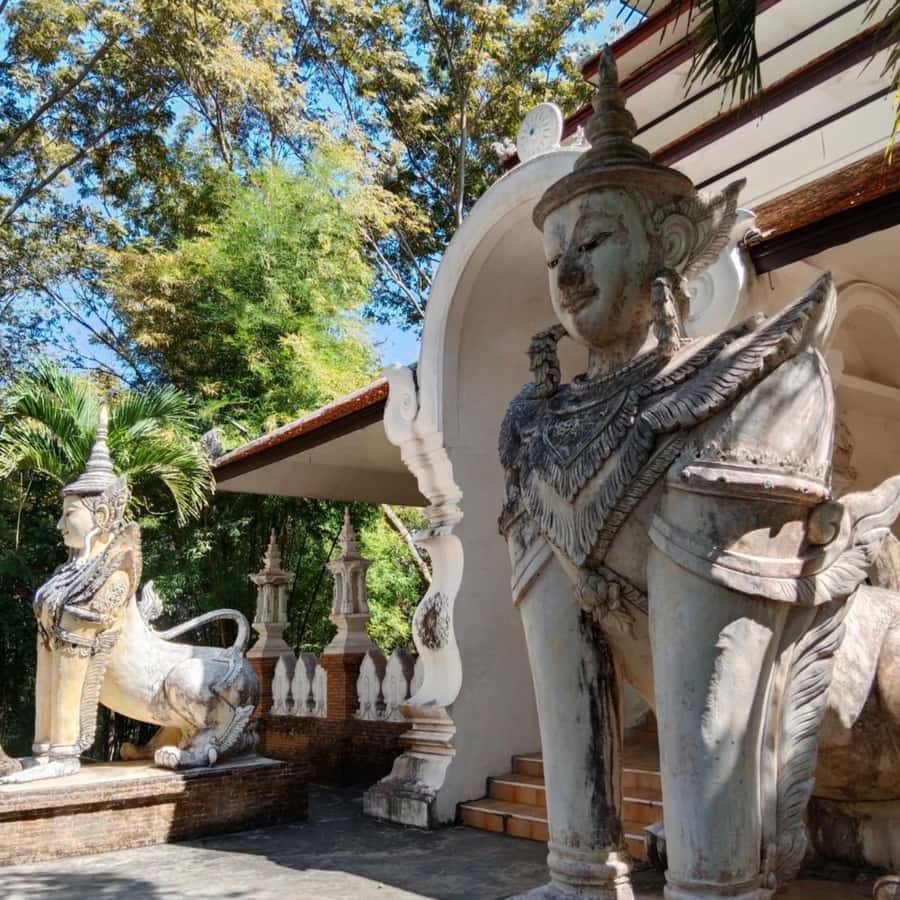 From Chiang Mai: Temples, Sticky Waterfall, and Orchid Farm - Which kind of day should you expect?