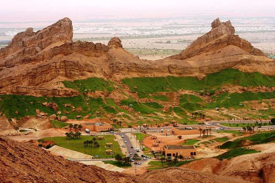From Dubai: Al Ain Garden City Full-Day Sightseeing Tour - Why Al Ain makes a fine change from Dubai