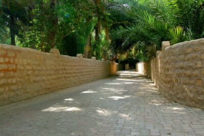Al Ain Garden City Full-Day Sightseeing Tour