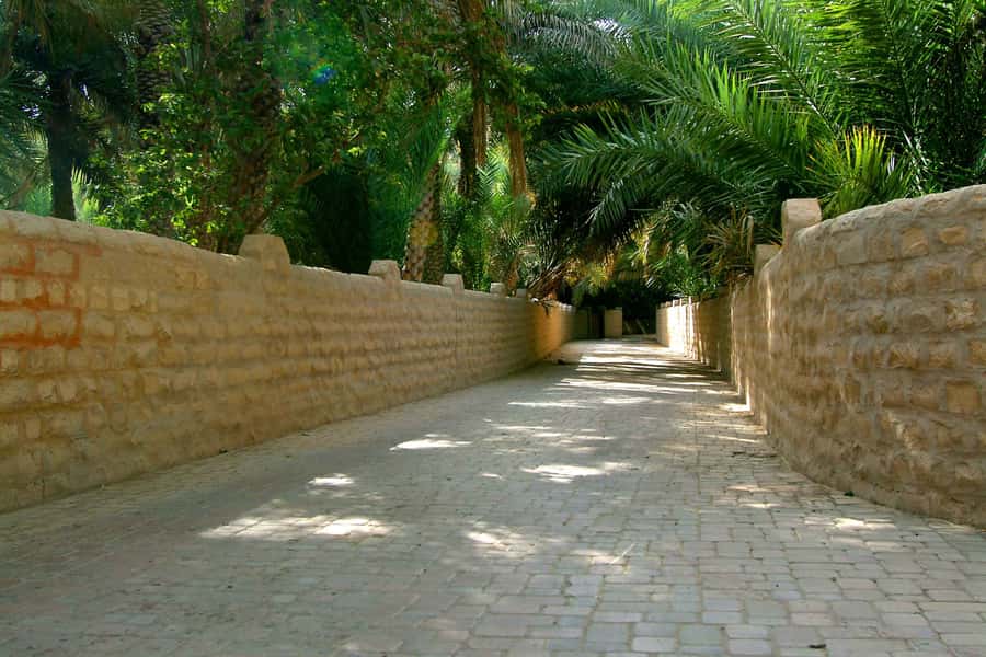 From Dubai: Al Ain Garden City Full-Day Sightseeing Tour - Crossing the Hajar Mountains from Dubai