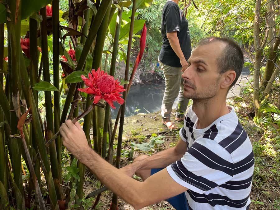 From Garden to Table: Indonesian Cooking Class in Yogyakarta - Turning fresh ingredients into six local dishes