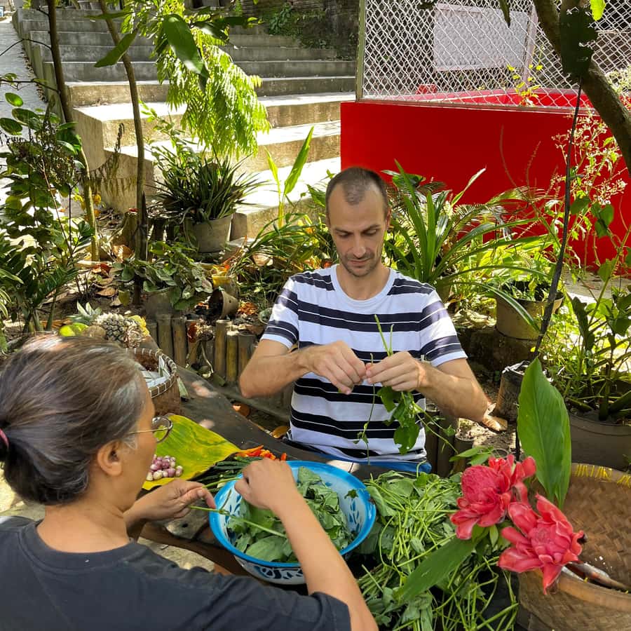 From Garden to Table: Indonesian Cooking Class in Yogyakarta - What five hours and $46 really get you