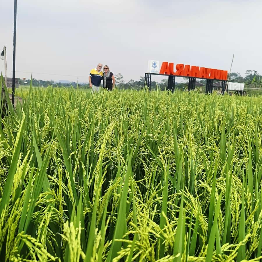 From Jakarta: Bogor Botanical Garden, Ricefield, & Waterfall - A short stop for shopping and local craft
