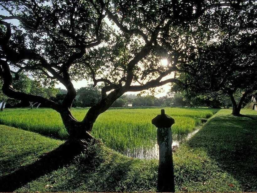 From Kalutara/Waskaduwa: Lunuganga & Brief Garden Tour - Who should book this morning?