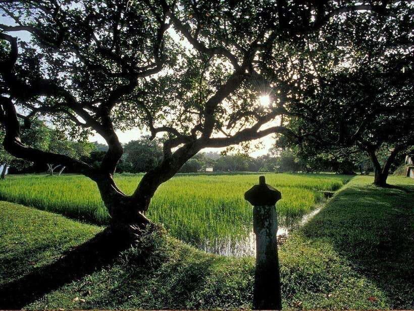 From Kalutara/Waskaduwa: Lunuganga & Brief Garden Tour - The 8:00 a.m. pickup from Kalutara or Waskaduwa
