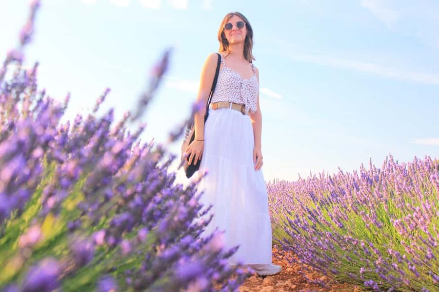 From Madrid: Day Trip to Brihuega Lavender Fields - What makes this July day trip worth considering