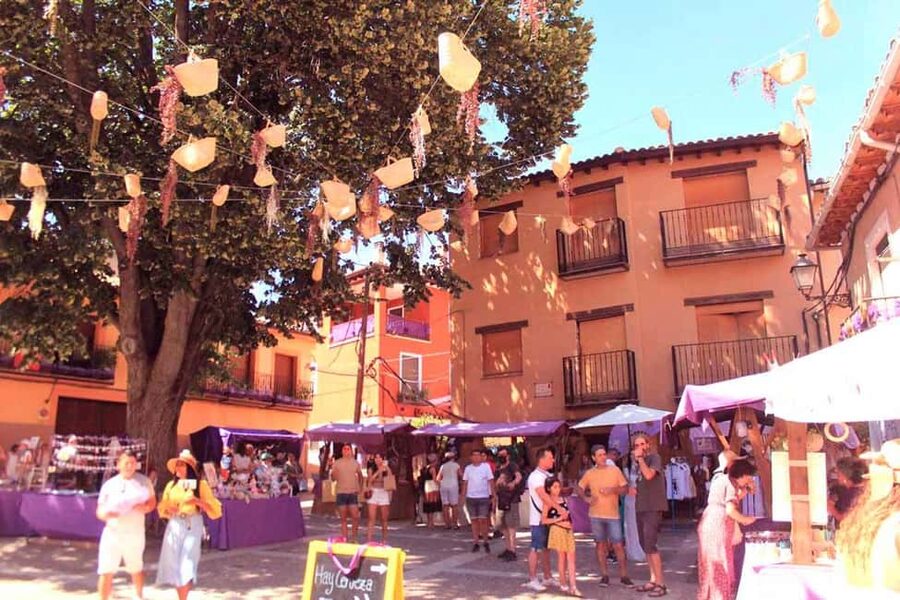 From Madrid: Day Trip to Brihuega Lavender Fields - From Hotel Mediodía to Castile-La Mancha